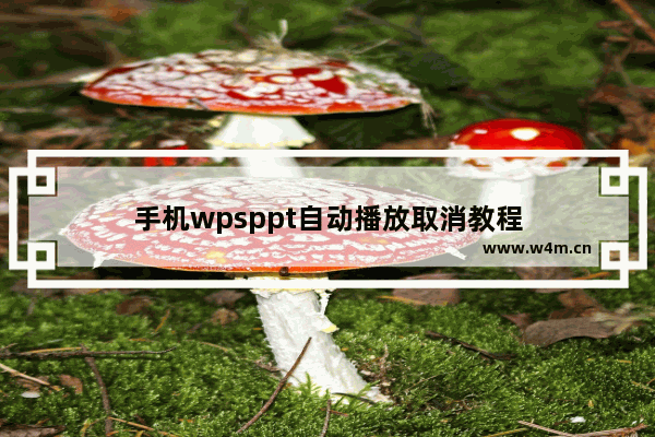 手机wpsppt自动播放取消教程