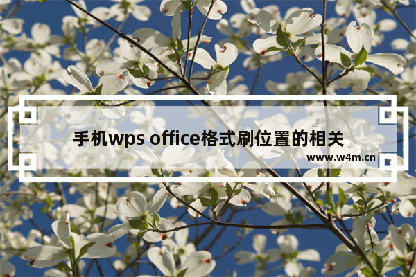 手机wps office格式刷位置的相关操作讲解