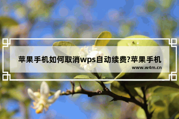 苹果手机如何取消wps自动续费?苹果手机取消wps自动续费步骤