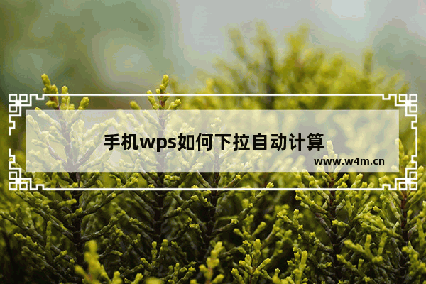 手机wps如何下拉自动计算