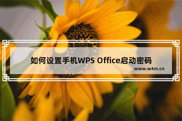 如何设置手机WPS Office启动密码