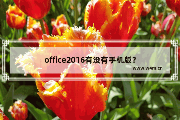 office2016有没有手机版？