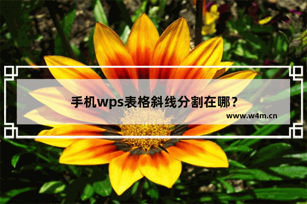 手机wps表格斜线分割在哪？