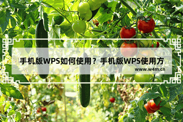 手机版WPS如何使用？手机版WPS使用方法介绍