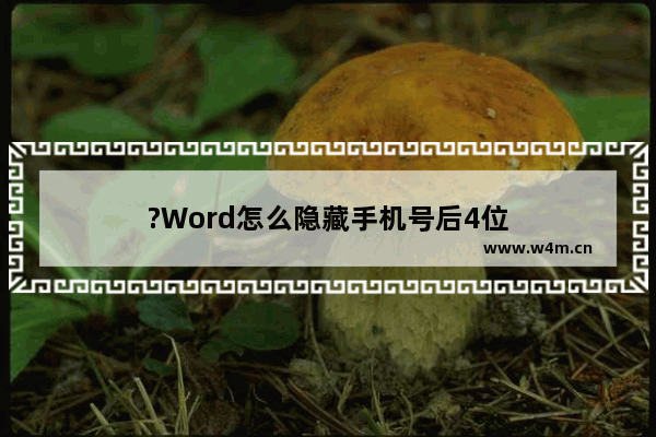 ?Word怎么隐藏手机号后4位