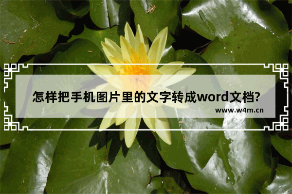 怎样把手机图片里的文字转成word文档?