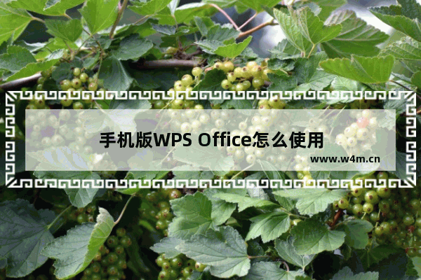 手机版WPS Office怎么使用