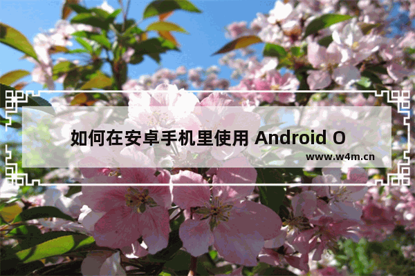 如何在安卓手机里使用 Android OneNote 平板模式，以获取更多更全的功能