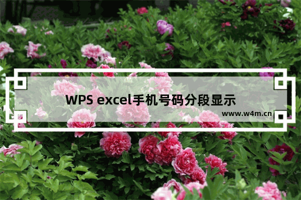 WPS excel手机号码分段显示