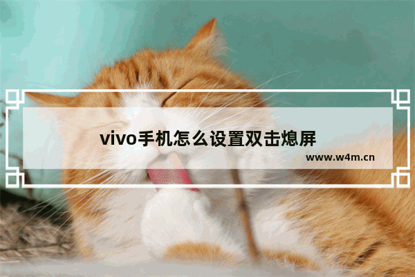 vivo手机怎么设置双击熄屏