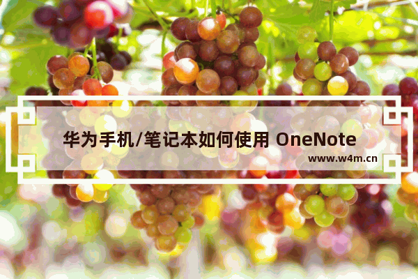 华为手机/笔记本如何使用 OneNote