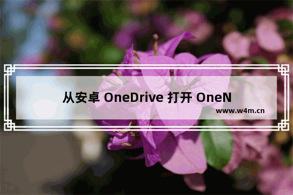 从安卓 OneDrive 打开 OneNote 笔记本显示：无法打开此分区