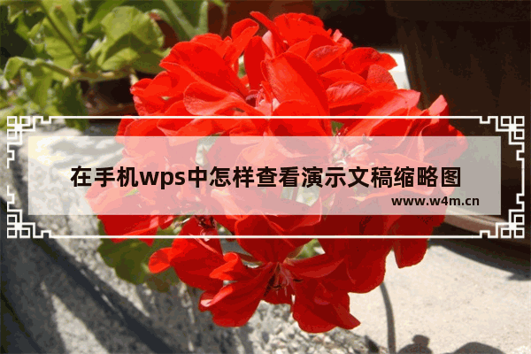 在手机wps中怎样查看演示文稿缩略图