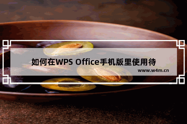 如何在WPS Office手机版里使用待办功能