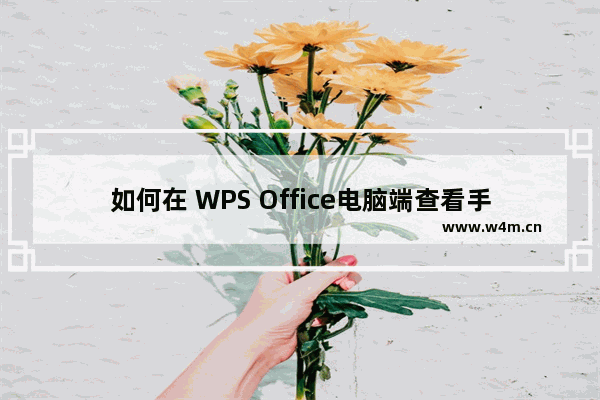 如何在 WPS Office电脑端查看手机里的文档