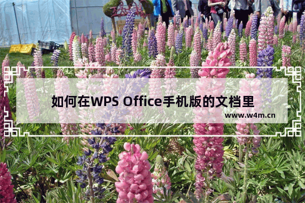 如何在WPS Office手机版的文档里插入分页符