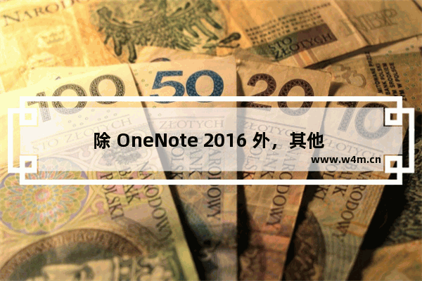 除 OneNote 2016 外，其他 OneNote 端 (Android, IPhone, IPad, Mac, Win10) 都不能打开本地笔记本