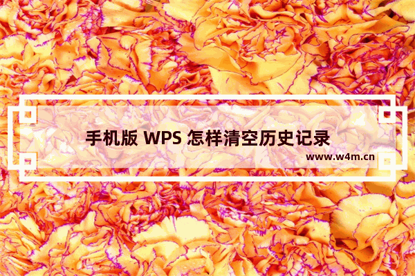 手机版 WPS 怎样清空历史记录