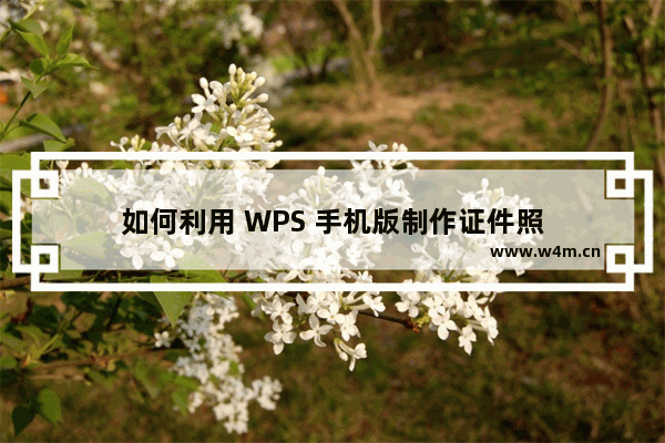 如何利用 WPS 手机版制作证件照