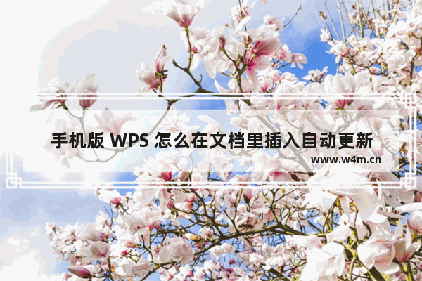 手机版 WPS 怎么在文档里插入自动更新日期和时间