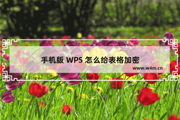 手机版 WPS 怎么给表格加密