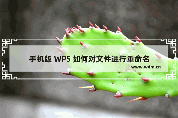 手机版 WPS 如何对文件进行重命名