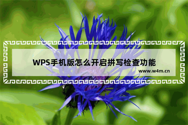 WPS手机版怎么开启拼写检查功能