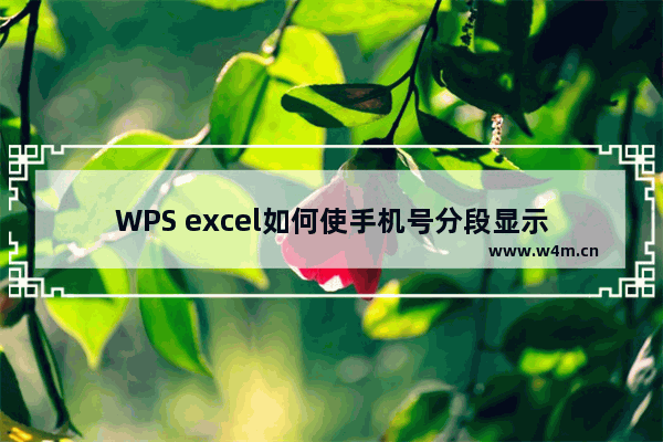 WPS excel如何使手机号分段显示