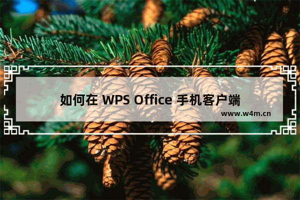 如何在 WPS Office 手机客户端里对文档进行账号加密