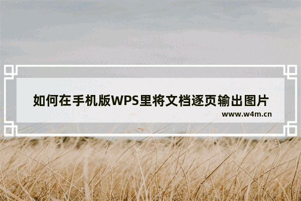 如何在手机版WPS里将文档逐页输出图片