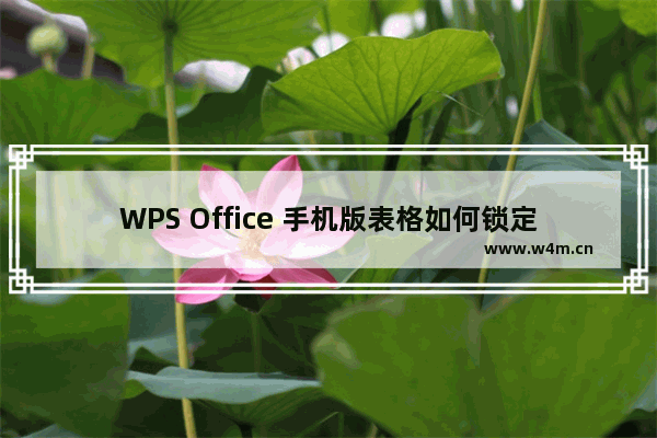 WPS Office 手机版表格如何锁定单元格格式