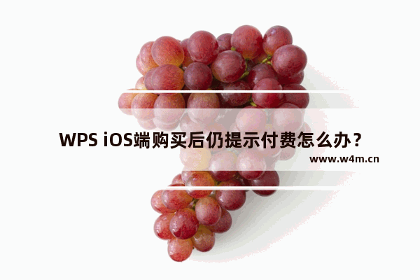 WPS iOS端购买后仍提示付费怎么办？