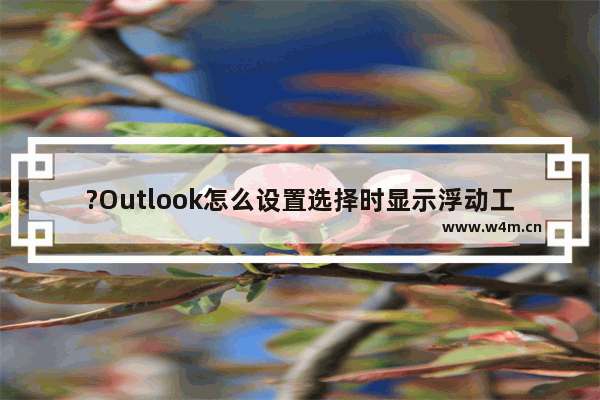 ?Outlook怎么设置选择时显示浮动工具栏