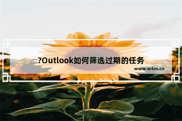 ?Outlook如何筛选过期的任务