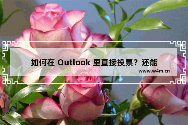 如何在 Outlook 里直接投票？还能直接统计数据？