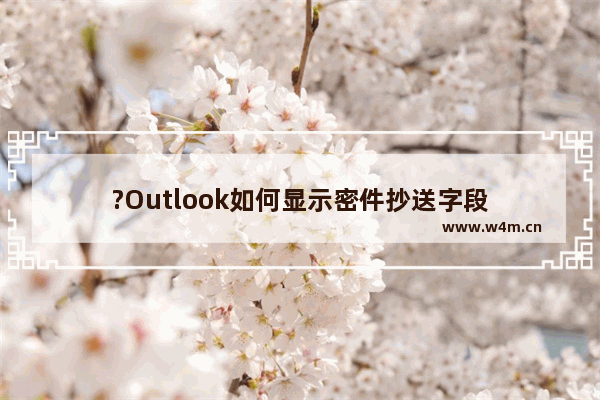 ?Outlook如何显示密件抄送字段