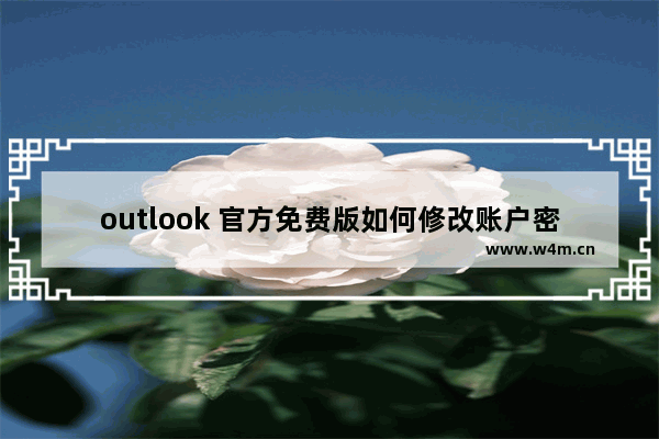 outlook 官方免费版如何修改账户密码？