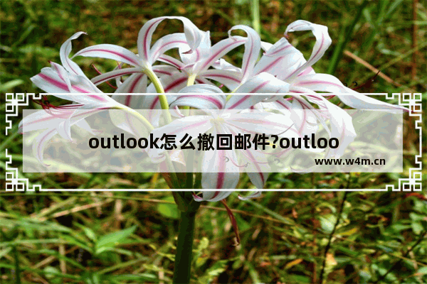 outlook怎么撤回邮件?outlook撤回邮件教程