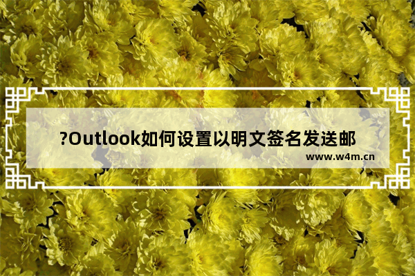 ?Outlook如何设置以明文签名发送邮件