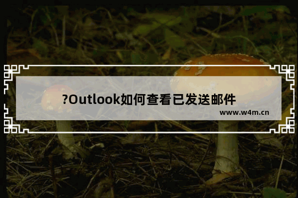 ?Outlook如何查看已发送邮件