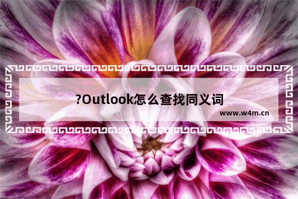 ?Outlook怎么查找同义词