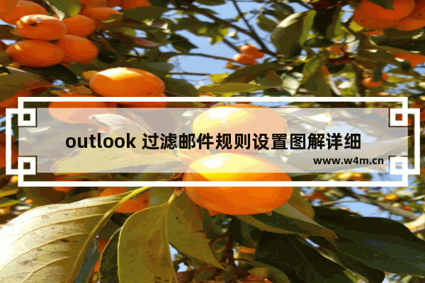 outlook 过滤邮件规则设置图解详细教程