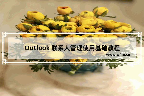 Outlook 联系人管理使用基础教程