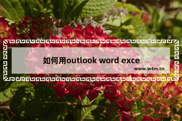 如何用outlook word excel制作群发工资条