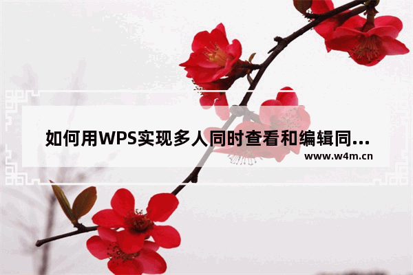 如何用WPS实现多人同时查看和编辑同一个流程图