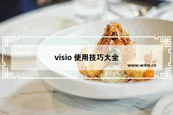 visio 使用技巧大全