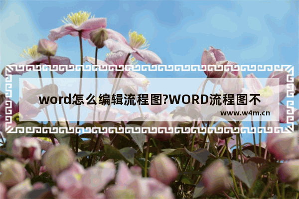 word怎么编辑流程图?WORD流程图不能编辑大小的解决办法