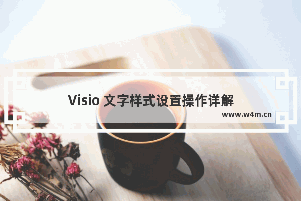 Visio 文字样式设置操作详解