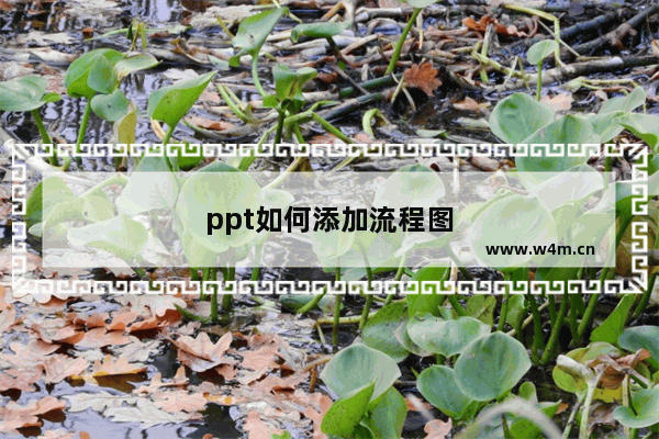 ppt如何添加流程图