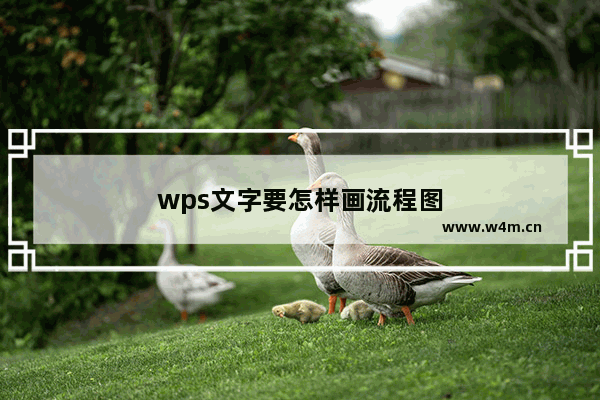 wps文字要怎样画流程图